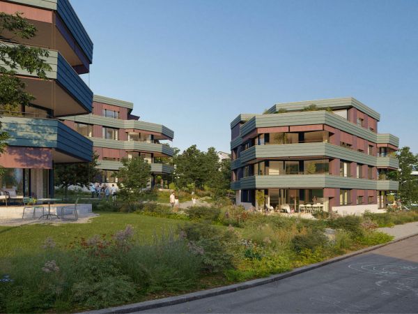 Wohnen Neuwiesen, Meilen, 1. Preis